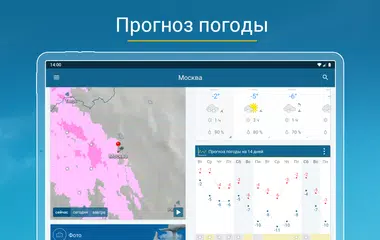 Скачать Погода & Радар XAPK
