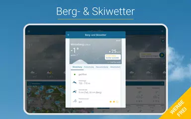 WetterOnline Pro APK Herunterladen