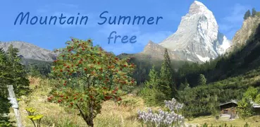 山の夏の無料壁紙