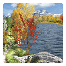 Autumn Live Wallpaper-APK