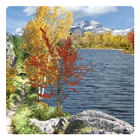 Autumn Live Wallpaper أيقونة