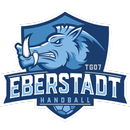 TG 07 Eberstadt Handball APK