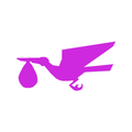 Stork