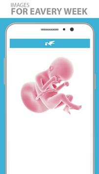 Pregnancy App - Stork screenshot 5