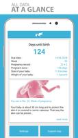 Pregnancy App - Stork poster