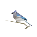 BirdNET APK