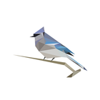BirdNET ikon