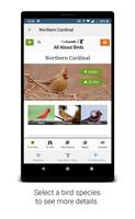 برنامه‌نما BirdNET عکس از صفحه