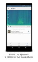 BirdNET captura de pantalla 2