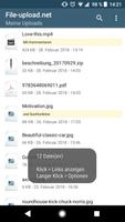 File-upload.net Uploader Screenshot 2