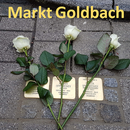 Goldbacher Stolpersteine אבני נגף בגולדבך APK