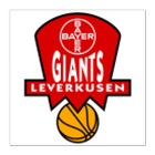 Bayer Giants icon