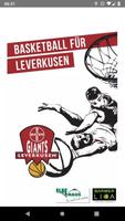 Bayer Giants poster
