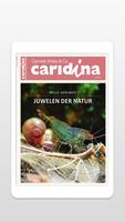 caridina · epaper poster