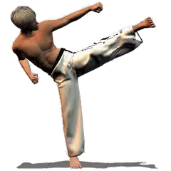 Скачать Taekwondo Forms (Sponsored) APK