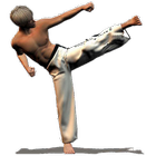 Taekwondo Forms (Sponsored) icon