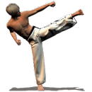 Taekwondo Forms (Sponsored) APK