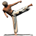 Icona Taekwondo Forms (Sponsored)