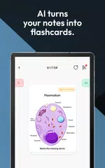Studydrive: Study & Flashcards XAPK download