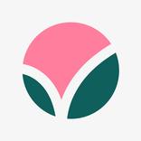 ”ViVERSUM - Tarot & Hellsehen