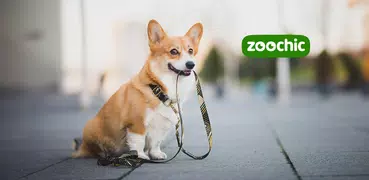 zoochic