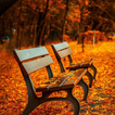 Autumn Live Wallpaper