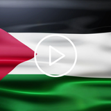 علم فلسطين للجدران لايف أيقونة