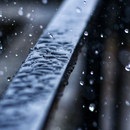 Rain Live Wallpaper APK