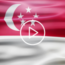 Singapore Flag Live Wallpaper APK