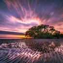 Sunrise Live Wallpaper APK