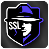 Icona Mystic VPN (SSL)