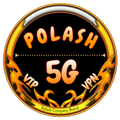 POLASH 5G VPN