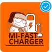 Mi-Fast Charger