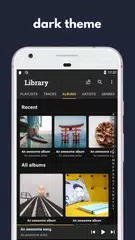 Скачать Canaree (Music Player) XAPK