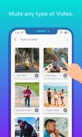 Video Mute पोस्टर