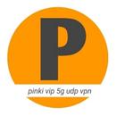 Pinki Vip 5g Udp Vpn APK