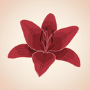 Lilia - Affirmations for Women APK