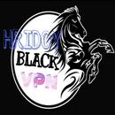 Black Vpn APK