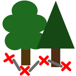 Tree Walk Guide