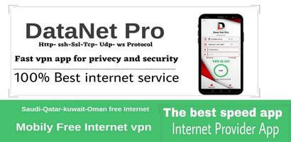 DataNet Pro VPN Affiche