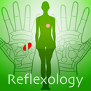 Hand Chart  / for Reflexology APK