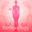 Reflexology chart icon