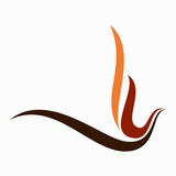Firezone APK