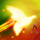 Freedom 2.0 Xperien Theme APK