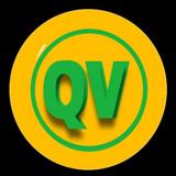 QuickNet VIP icône