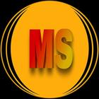 MsNet ABS icon