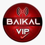 Baikal VIP VPN icon