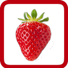 Learn Fruits and Foods - Kids-icoon
