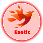 Exotic Tunnel Plus icon