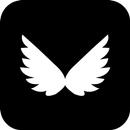 Wing VPN APK